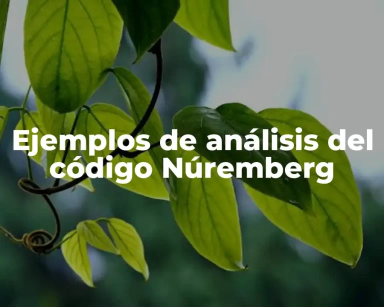 Ejemplos de análisis del código Núremberg