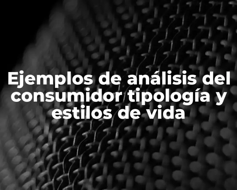 Ejemplos de análisis del consumidor tipología y estilos de vida