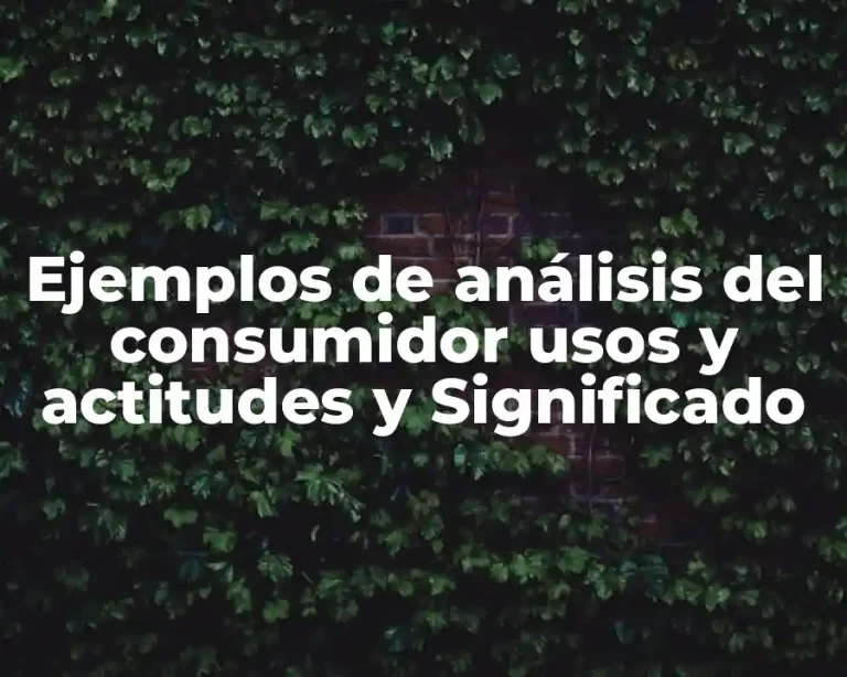 Ejemplos de análisis del consumidor usos y actitudes y Significado