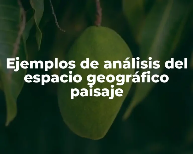Ejemplos de análisis del espacio geográfico paisaje