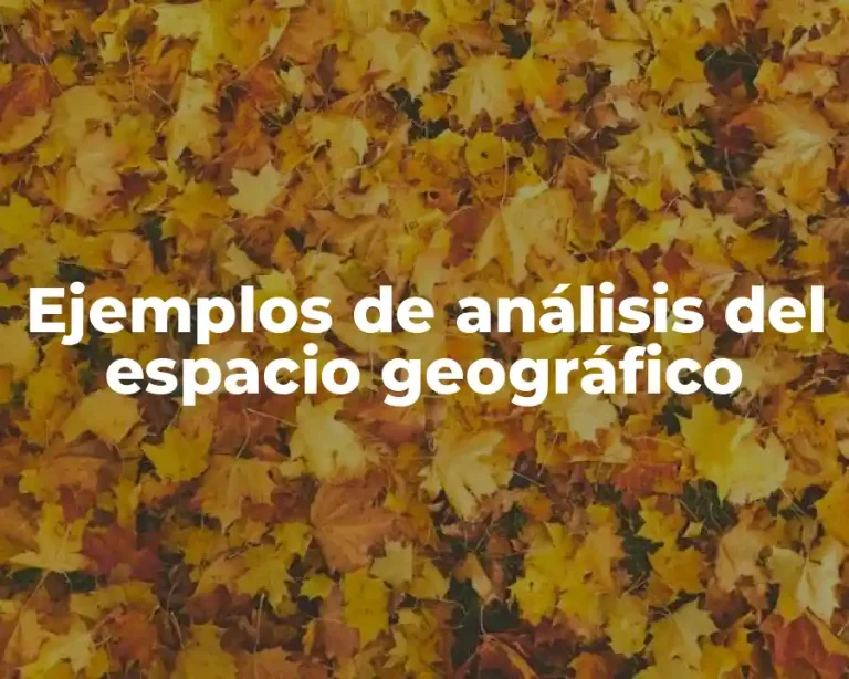 Ejemplos de análisis del espacio geográfico