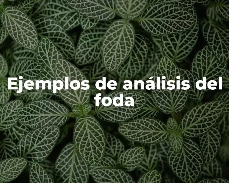 Ejemplos de análisis del foda