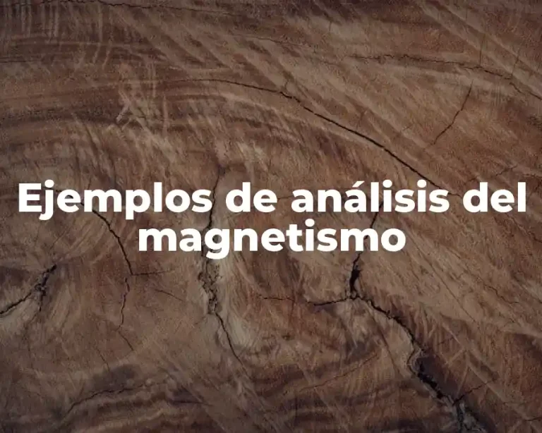 Ejemplos de análisis del magnetismo