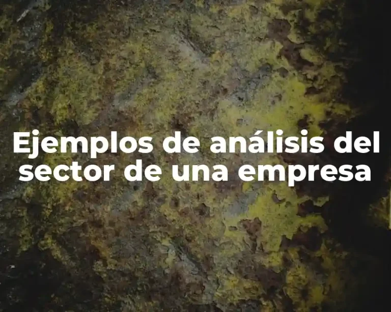 Ejemplos de análisis del sector de una empresa