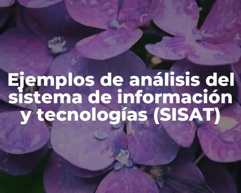 Ejemplos de análisis del sistema de información y tecnologías (SISAT)