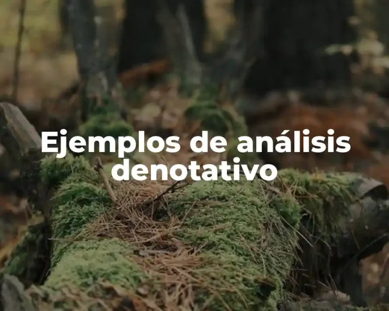 Ejemplos de análisis denotativo