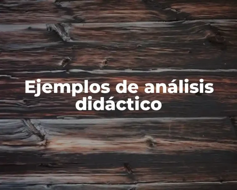 Ejemplos de análisis didáctico