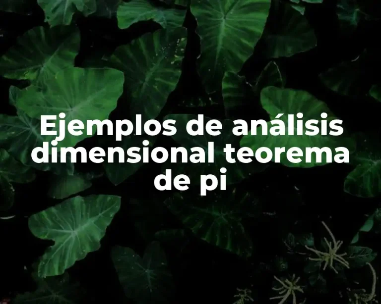 Ejemplos de análisis dimensional teorema de pi