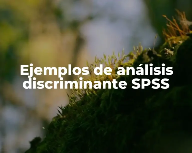 Ejemplos de análisis discriminante SPSS