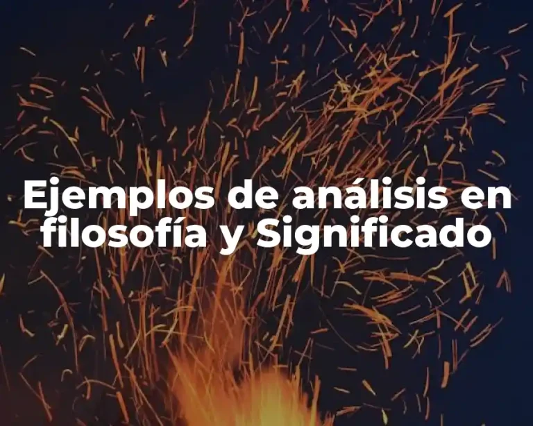 Ejemplos de análisis en filosofía y Significado