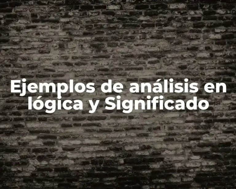 Ejemplos de análisis en lógica y Significado