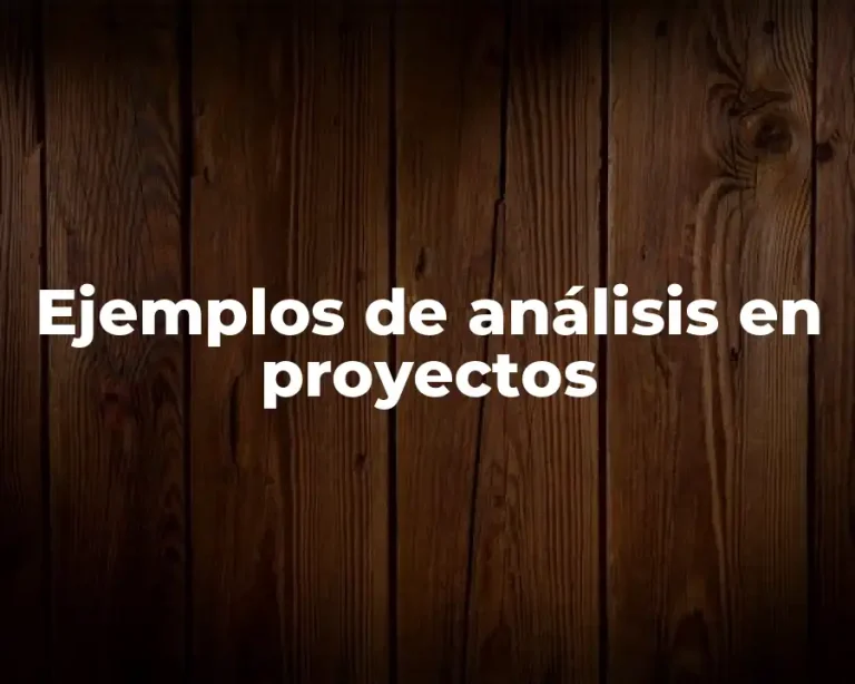 Ejemplos de análisis en proyectos