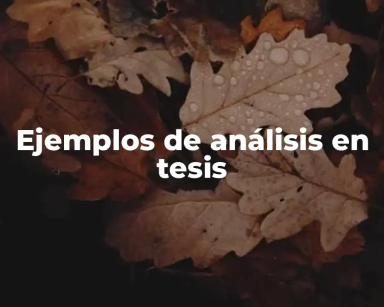 Ejemplos de análisis en tesis