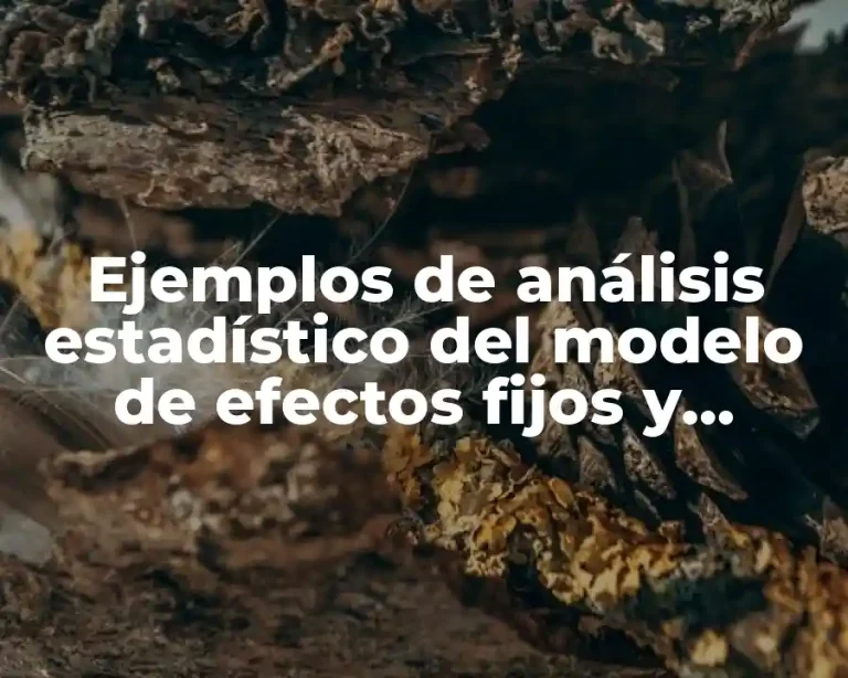 Ejemplos de análisis estadístico del modelo de efectos fijos y Significado