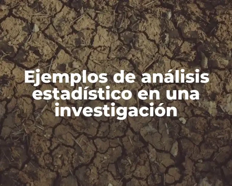 Ejemplos de análisis estadístico en una investigación
