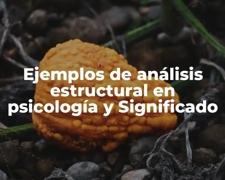 Ejemplos de análisis estructural en psicología y Significado