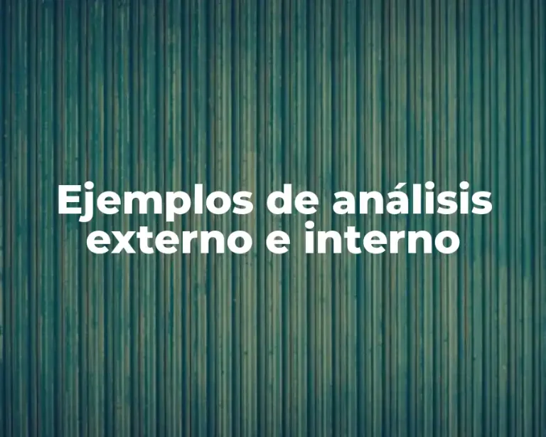 Ejemplos de análisis externo e interno