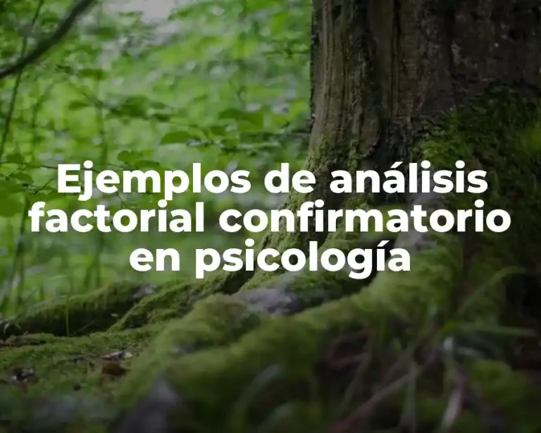 Ejemplos de análisis factorial confirmatorio en psicología