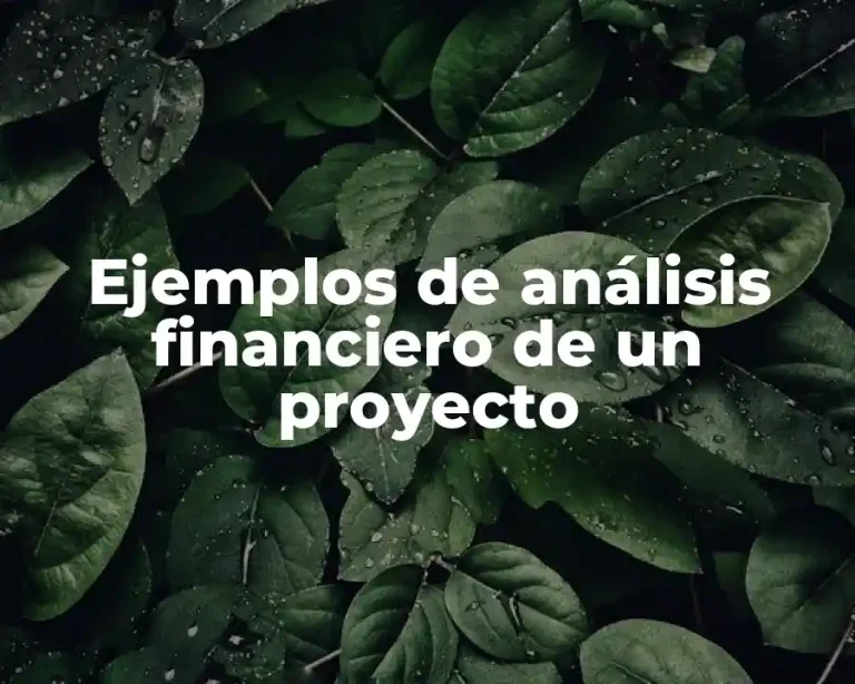 Ejemplos de análisis financiero de un proyecto