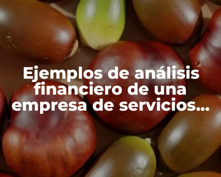 Ejemplos de análisis financiero de una empresa de servicios turísticos