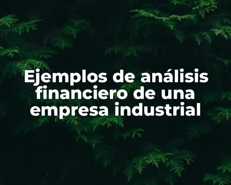 Ejemplos de análisis financiero de una empresa industrial
