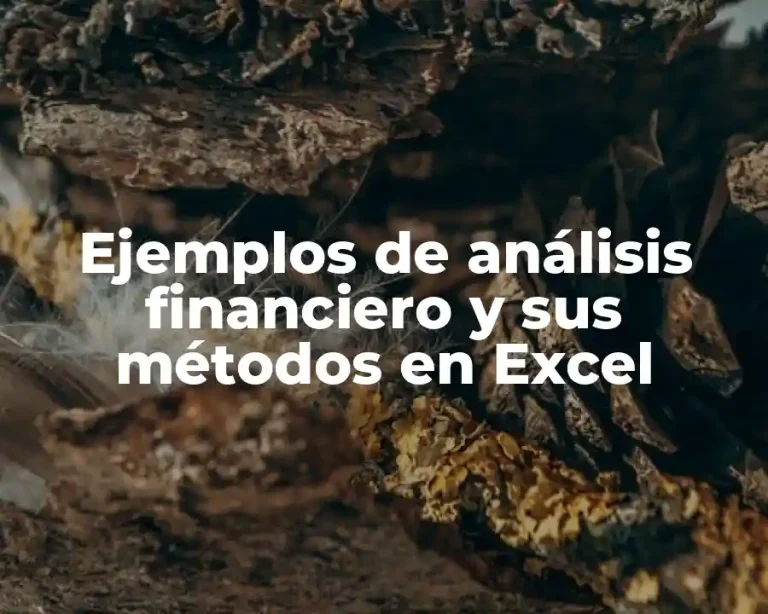 Ejemplos de análisis financiero y sus métodos en Excel