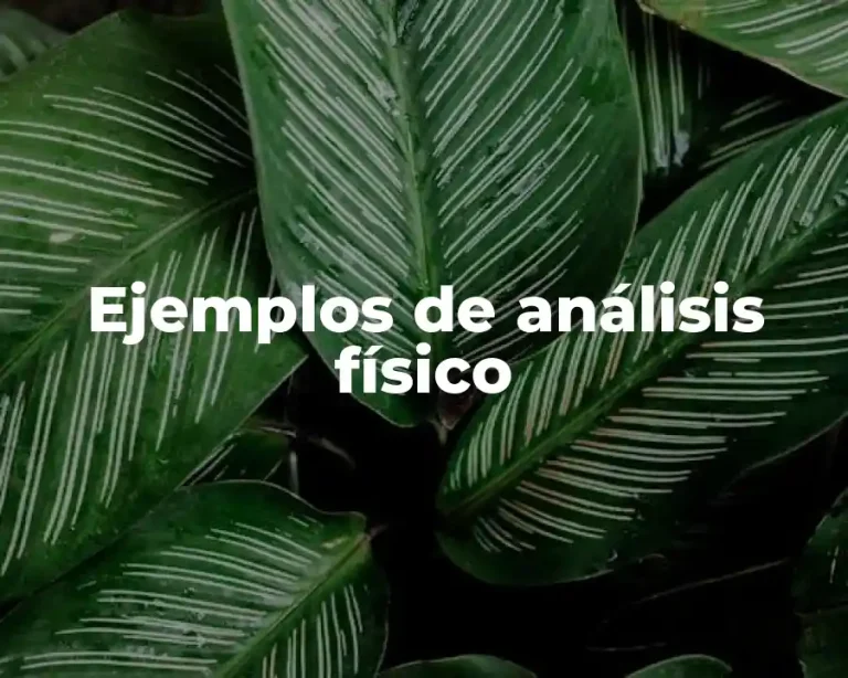 Ejemplos de análisis físico