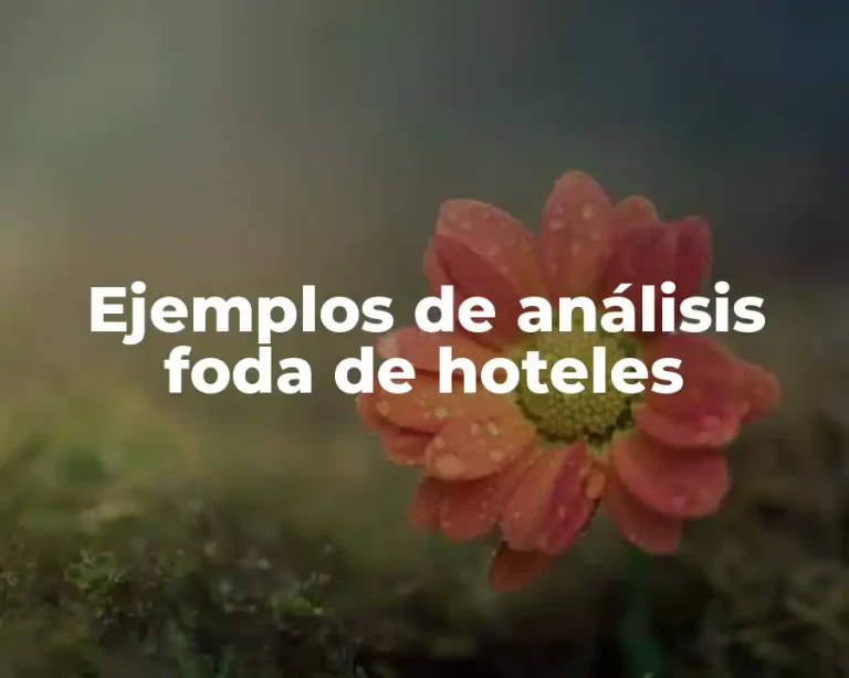 Ejemplos de análisis foda de hoteles