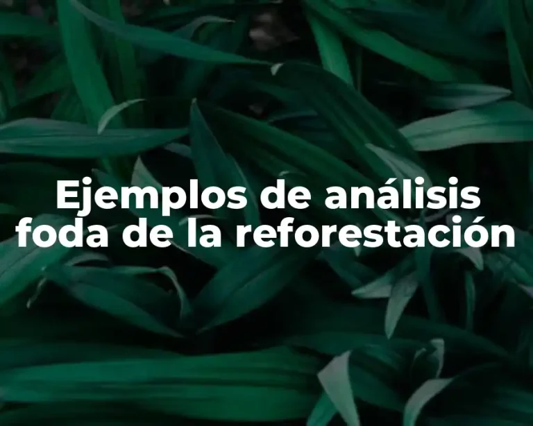 Ejemplos de análisis foda de la reforestación