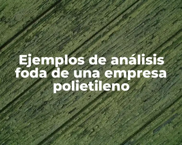 Ejemplos de análisis foda de una empresa polietileno