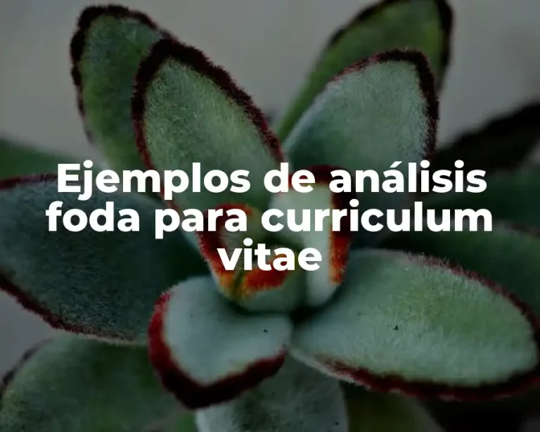 Ejemplos de análisis foda para curriculum vitae