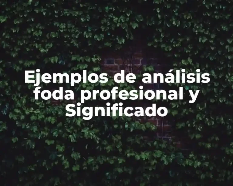 Ejemplos de análisis foda profesional y Significado