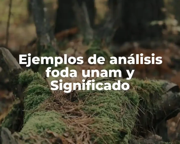 Ejemplos de análisis foda unam y Significado