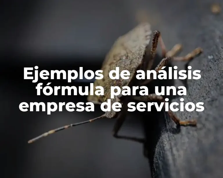 Ejemplos de análisis fórmula para una empresa de servicios