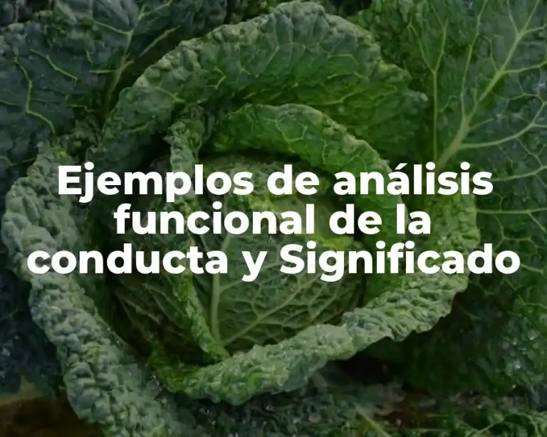 Ejemplos de análisis funcional de la conducta y Significado