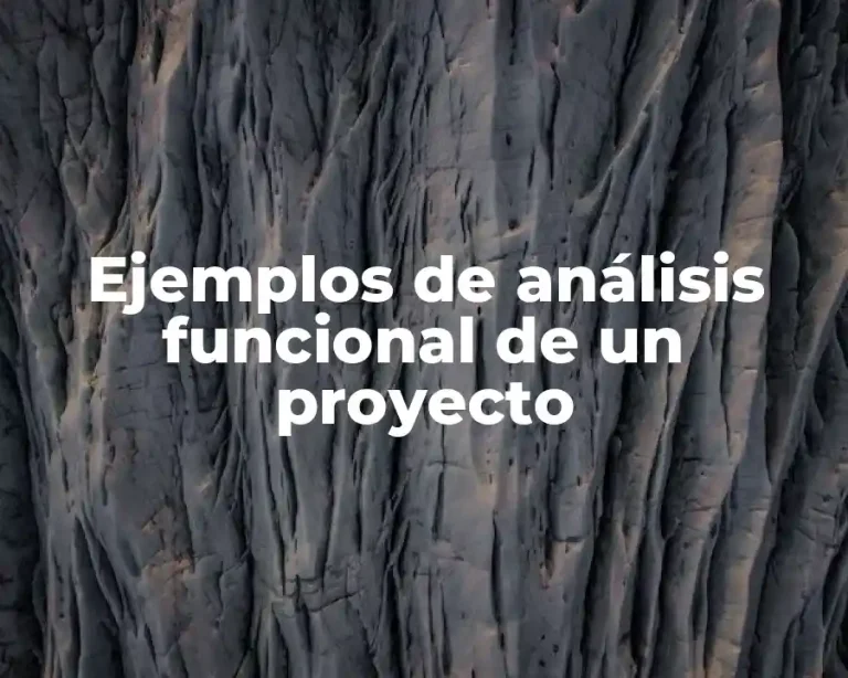Ejemplos de análisis funcional de un proyecto
