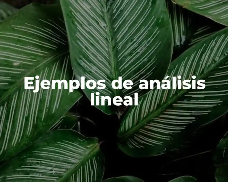 Ejemplos de análisis lineal