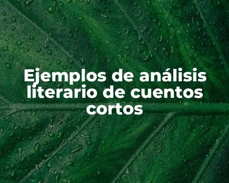 Ejemplos de análisis literario de cuentos cortos