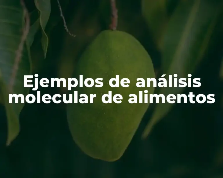 Ejemplos de análisis molecular de alimentos