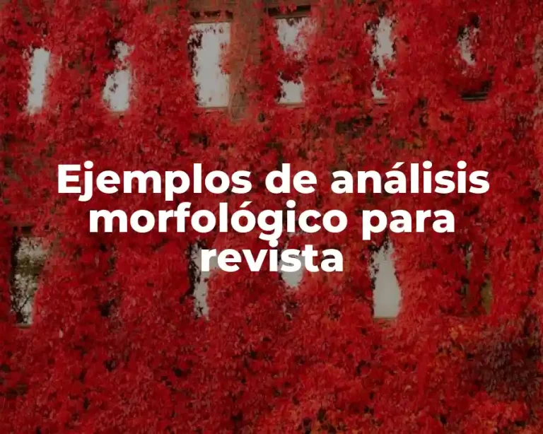 Ejemplos de análisis morfológico para revista
