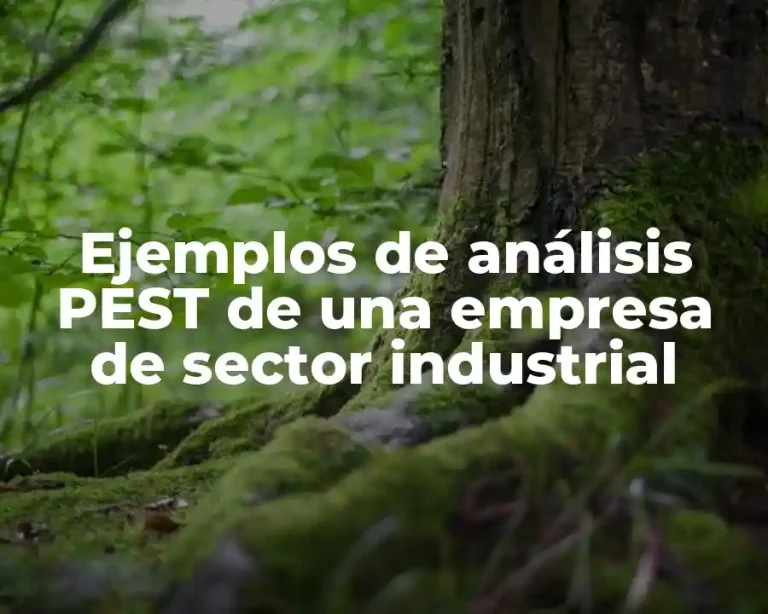 Ejemplos de análisis PEST de una empresa de sector industrial
