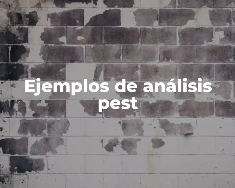 Ejemplos de análisis pest
