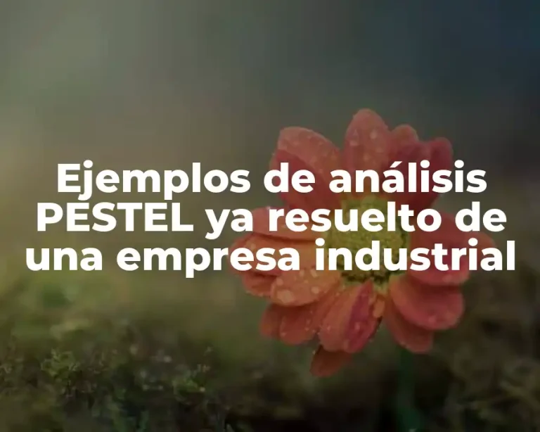 Ejemplos de análisis PESTEL ya resuelto de una empresa industrial