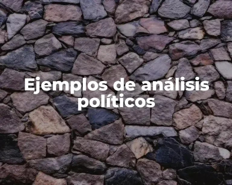 Ejemplos de análisis políticos
