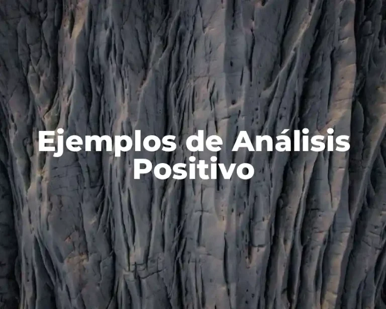 Ejemplos de Análisis Positivo