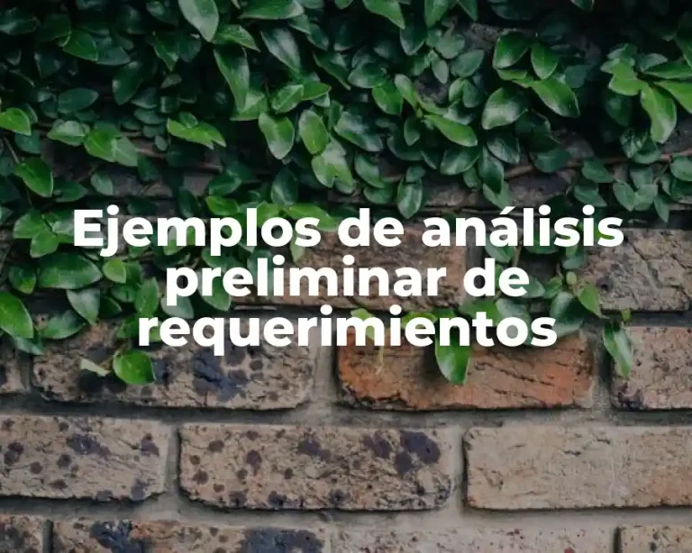 Ejemplos de análisis preliminar de requerimientos