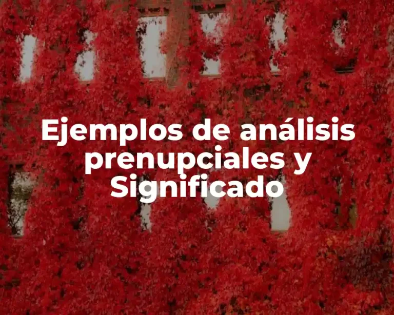 Ejemplos de análisis prenupciales y Significado