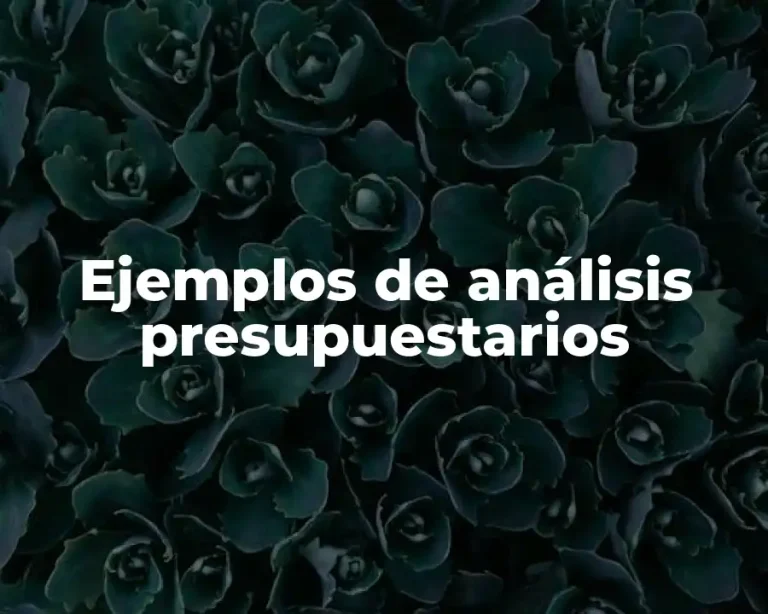 Ejemplos de análisis presupuestarios