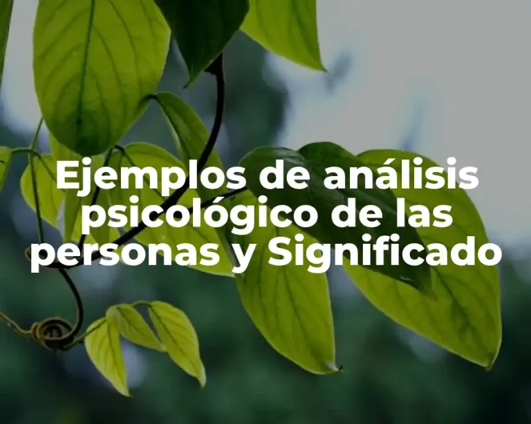Ejemplos de análisis psicológico de las personas y Significado