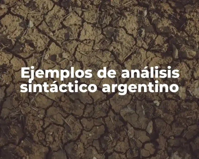 Ejemplos de análisis sintáctico argentino